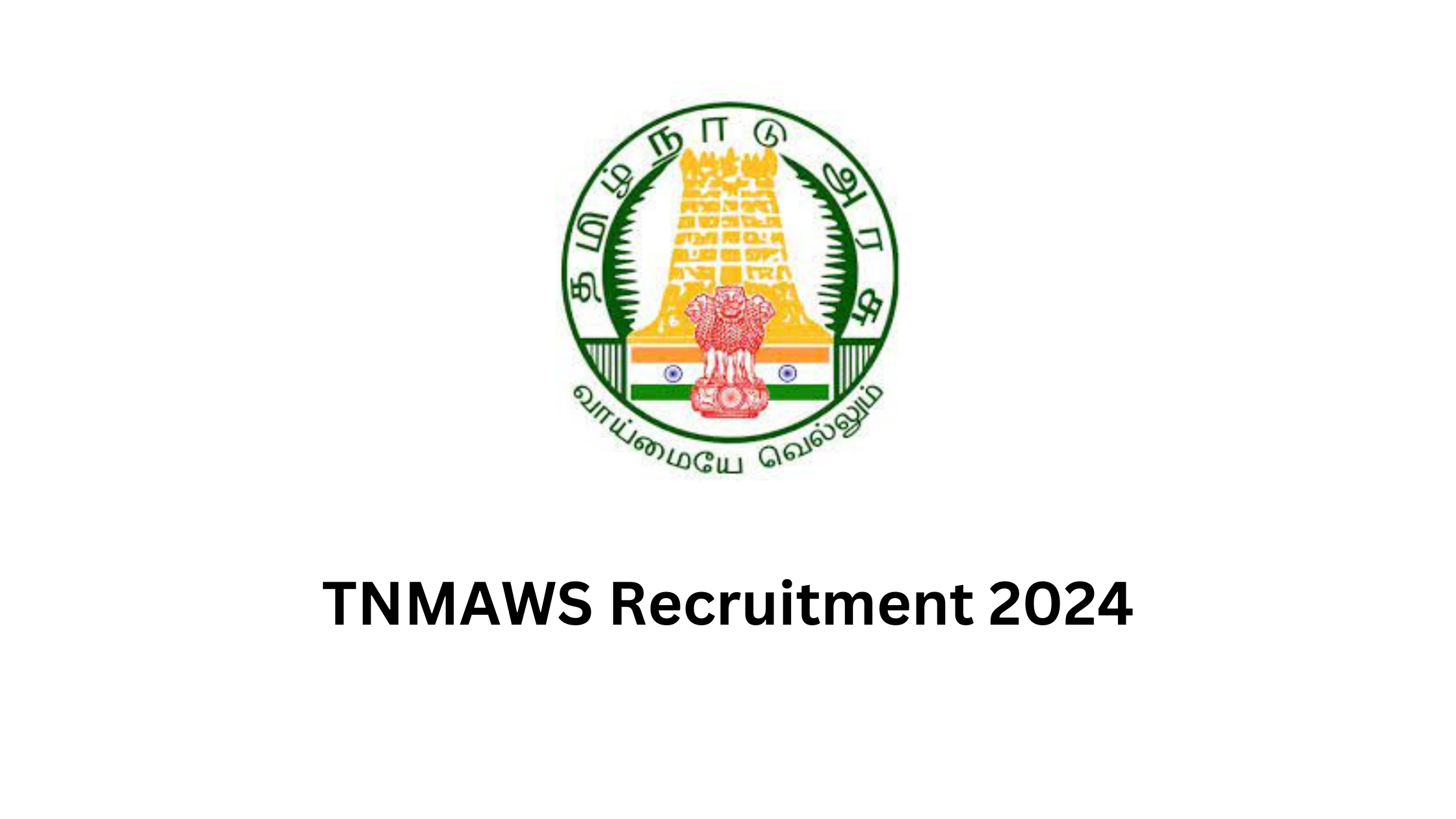 TNMAWS Recruitment 2024