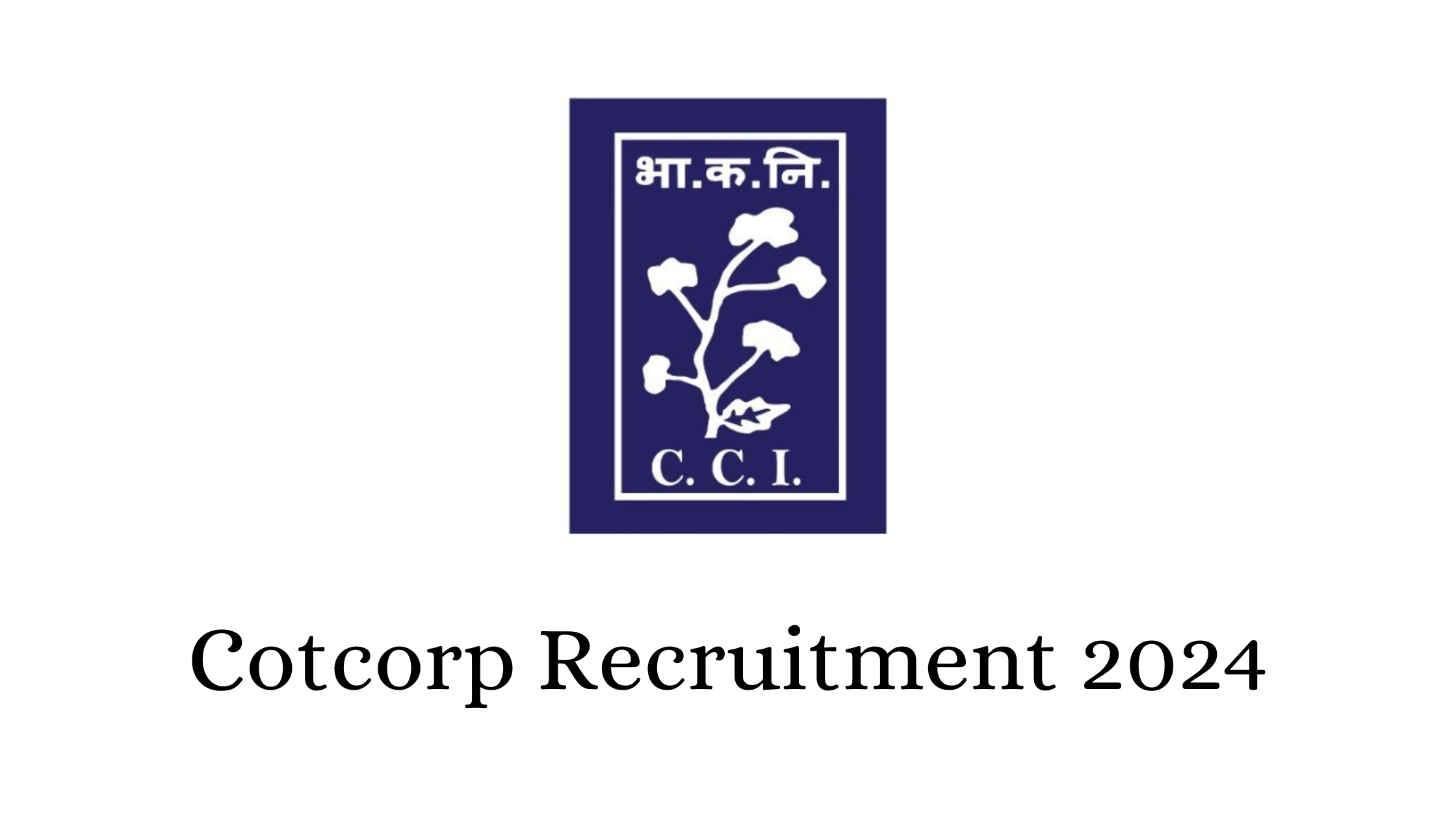 Cotcorp Recruitment 2024
